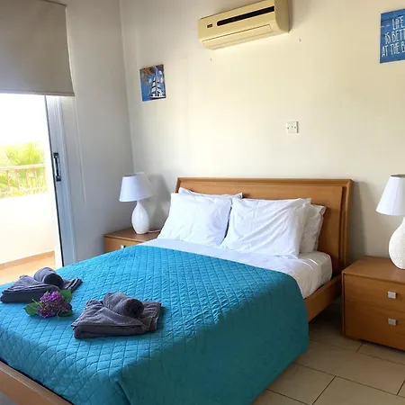 Artemis Dps09 With Pool Paralimni