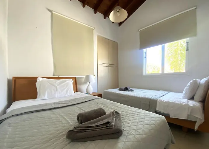 Artemis Dps09 With Pool *